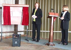 Descriptive alt Text